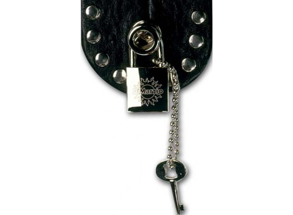 DiMarzio DD2100N DiMarzio DD2100N